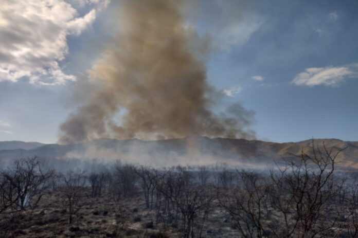 incendiadocosquin