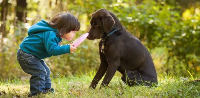 perros y niños