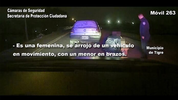 tigre agresión