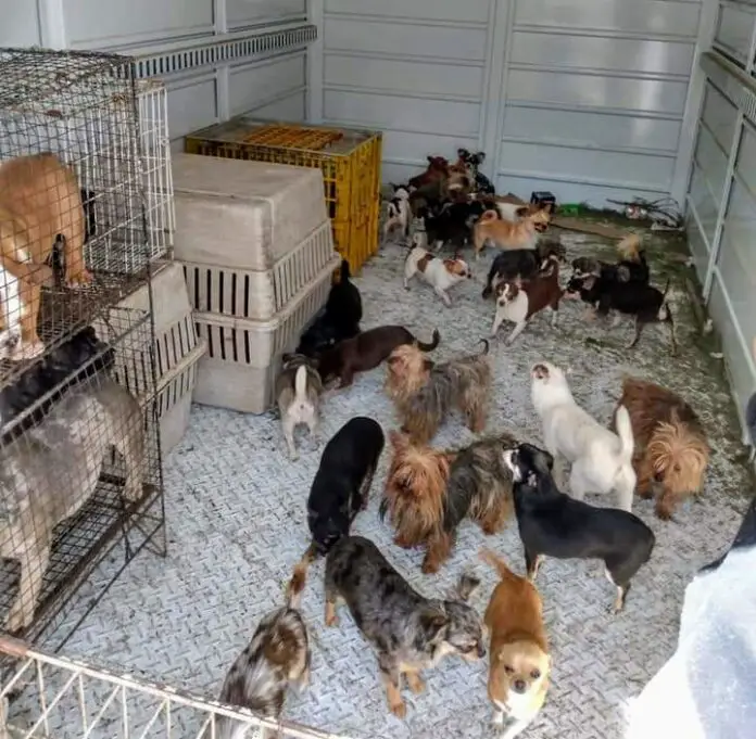 FB_IMG_1629903326591~2