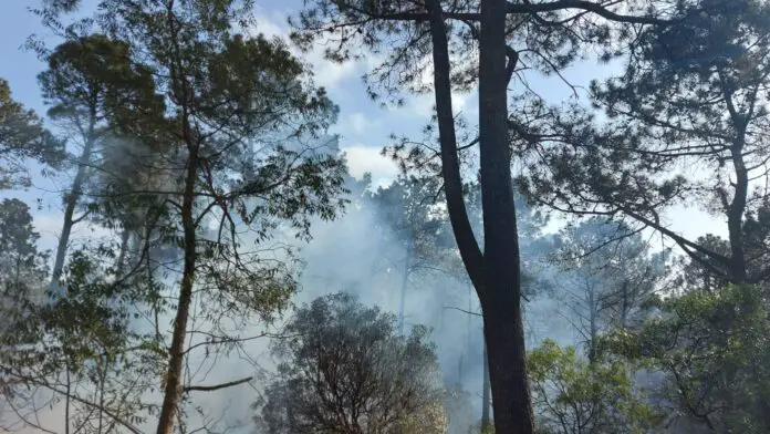 WhatsApp Image 2021-08-19 at 10.44.40 (1)