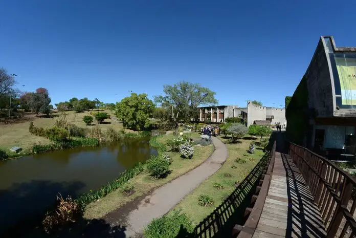 WhatsApp Image 2021-08-28 at 10.09.21