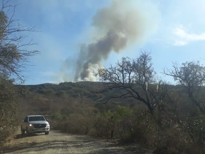 incendiosalsi