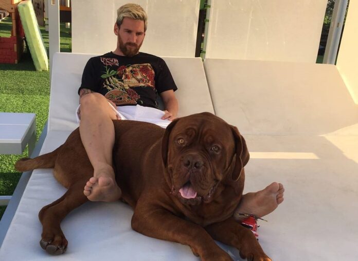 leomessi_16288736100782371