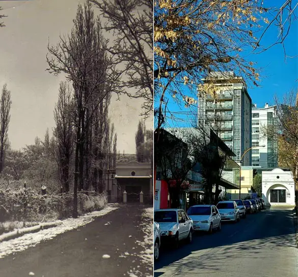 tortul-nieve