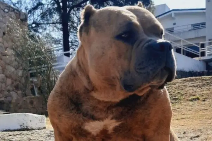 BPWMFCF2J5B3NLPZV2EYH56NSI