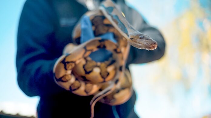 WhatsApp Image 2021-09-10 at 08.53.46 (1)