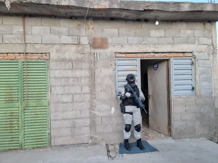 mujeres narcos
