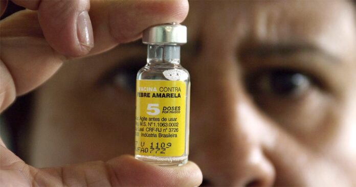 fiebre amarilla