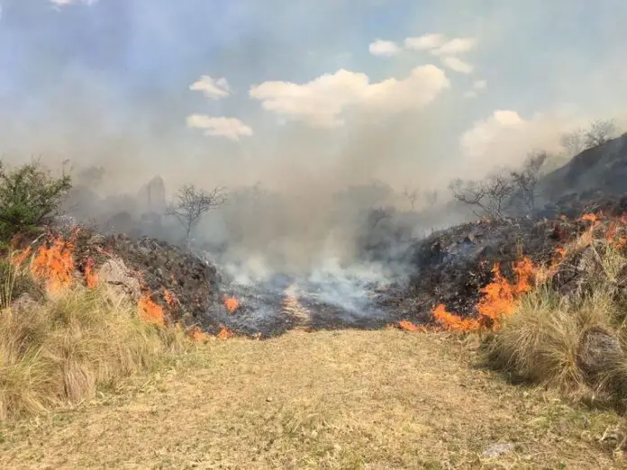 incendiolagranja