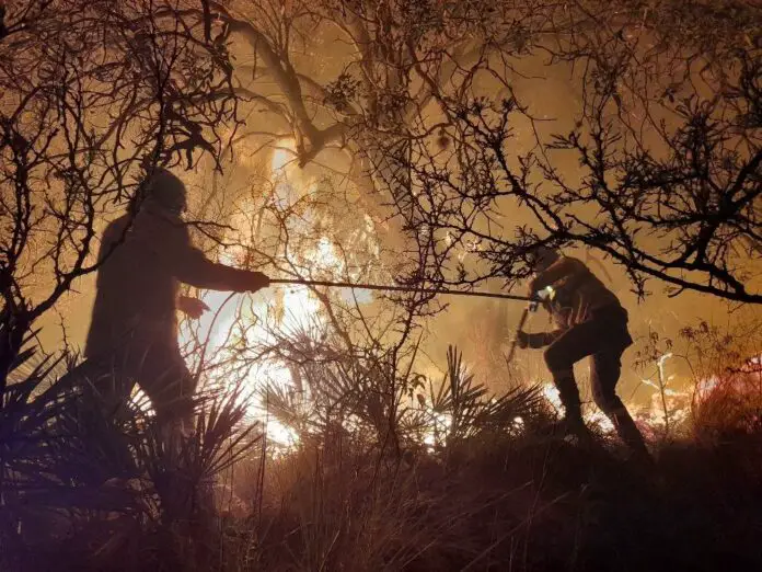 salsacate incendio1