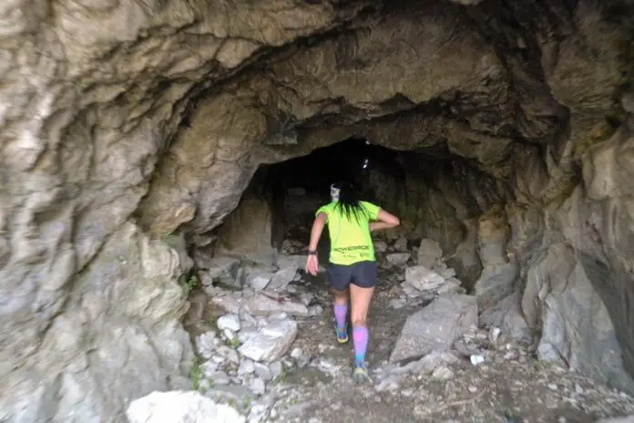 371df248-e78a-40e2-9ad4-f6ad96f7673e_large