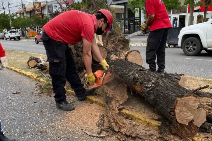 3HNCW4KCJBH6PAFYACPRFHM2KI