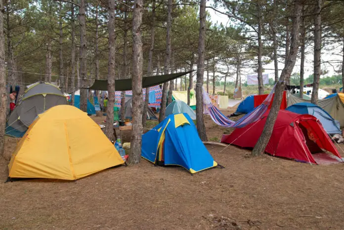 Campsite in the forest