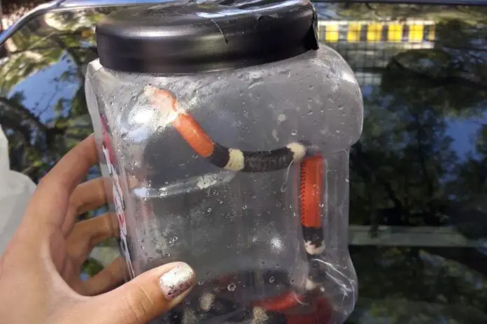 SCKXDHT3IVB7ZM4HIU2V3F2HBM