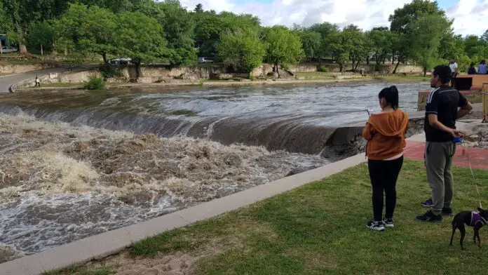 WhatsApp Image 2021-11-09 at 18.15.20