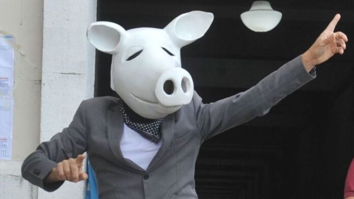 elecciones-chancho-blanco