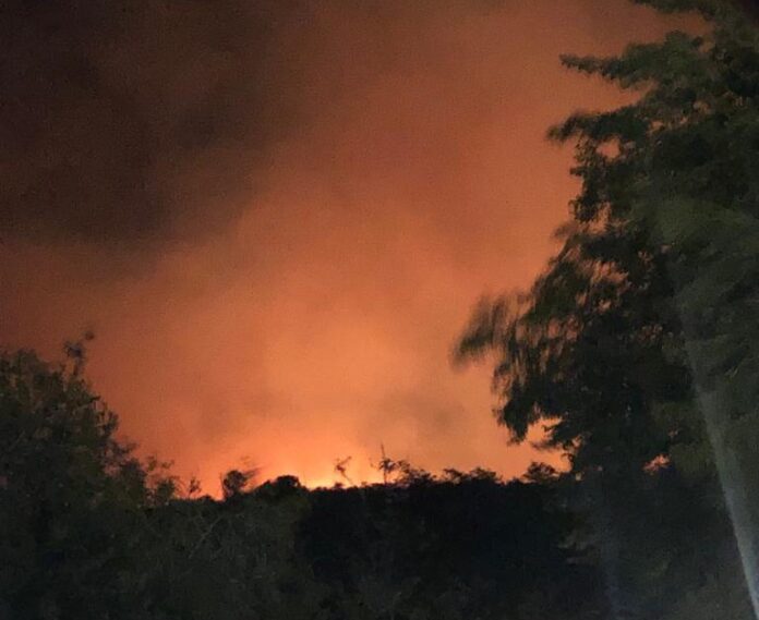 fuego giardino