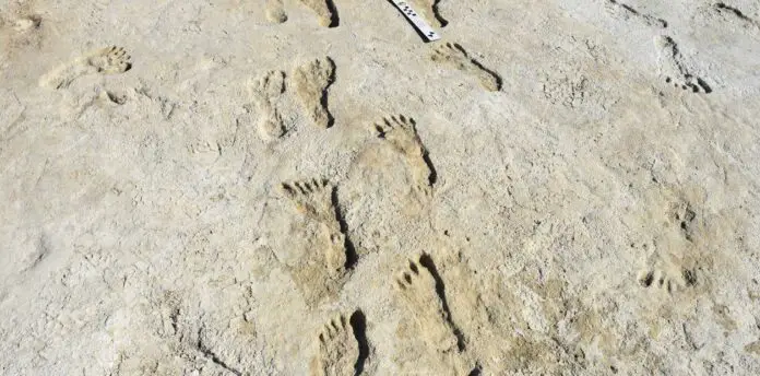 las-pisadas-estan-en-el___w4v4OFyf1_1256x620__1