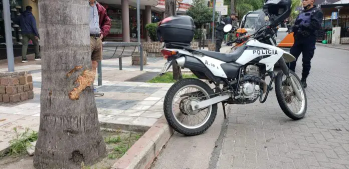 WhatsApp Image 2021-12-12 at 11.11.34