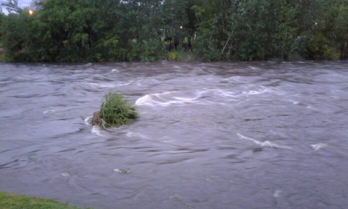 WhatsApp Image 2022-01-23 at 08.32.06