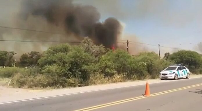 incendio san marcos