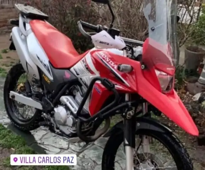 moto perros drogados