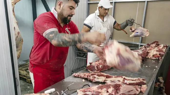 CARNE1