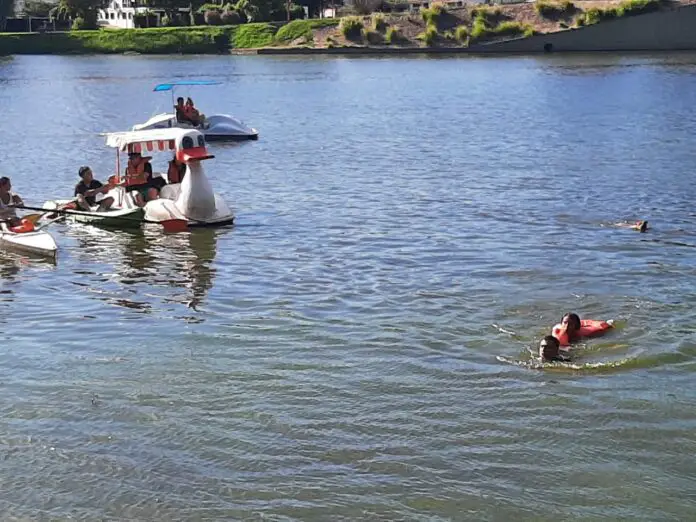 WhatsApp Image 2022-03-16 at 19.24.24