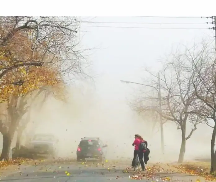 WhatsApp Image 2022-03-23 at 18.51.18