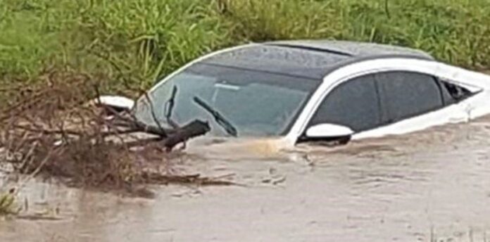un-automovilista-atropello-a-un___lgzHidoWE_1256x620__1