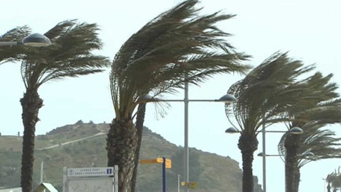 viento