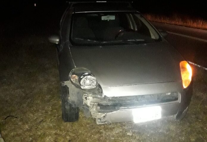 choque auto vaca