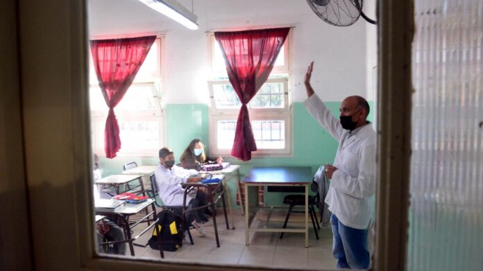 docentes voz