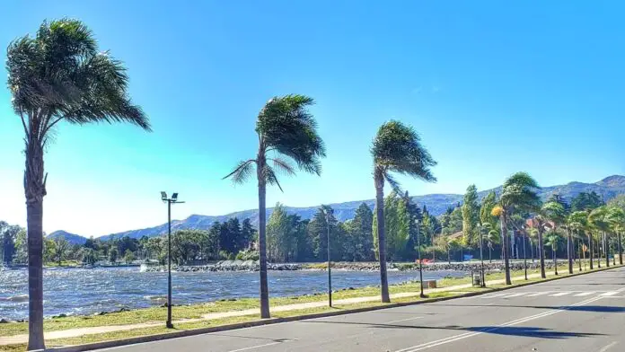 carlos paz