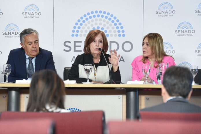 alejandra vigo proyecto subsidio de transporte