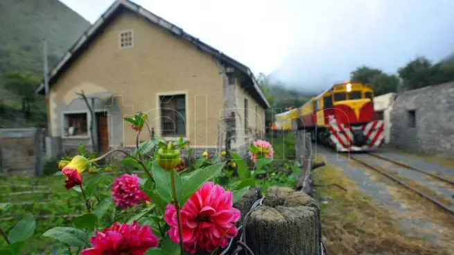 tren19191