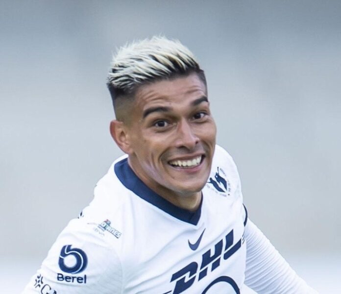 favio alvarez