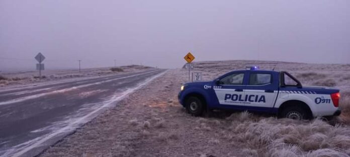 WhatsApp Image 2022-06-25 at 11.26.49 AM