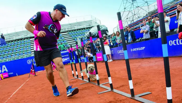 f800x450-79832_131278_5050