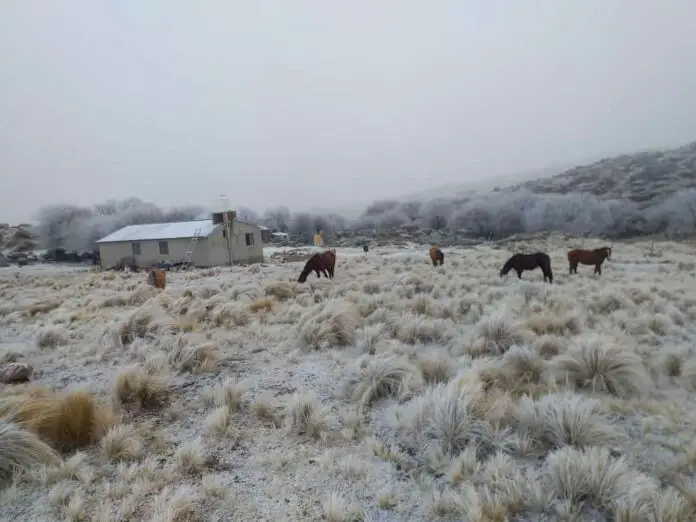 16c5ee5ebeb04da682da2e68f4dc7149-01