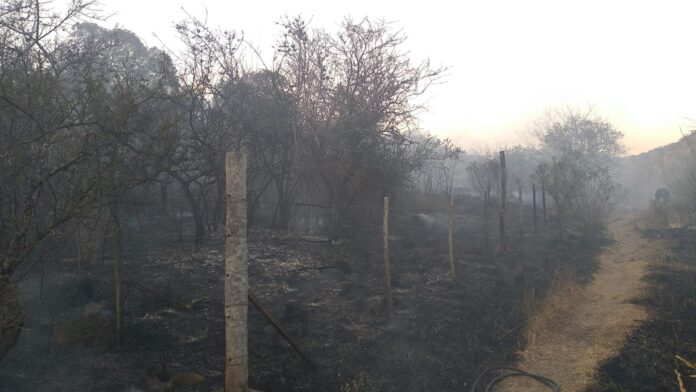 Bombero en el diquecito 2