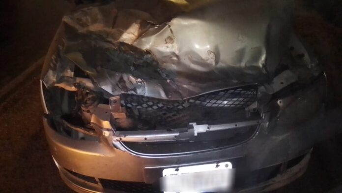 accidente santa cruz