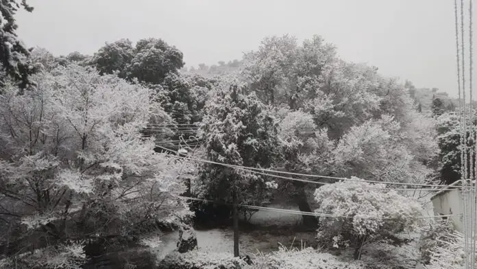 foto nieve