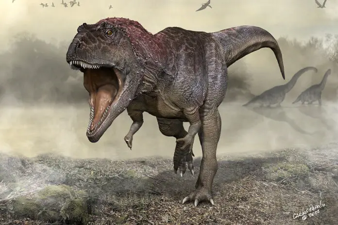 meraxe