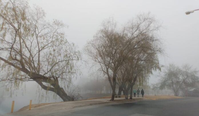 niebla