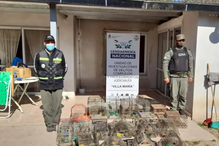 secuestro de aves silvestres