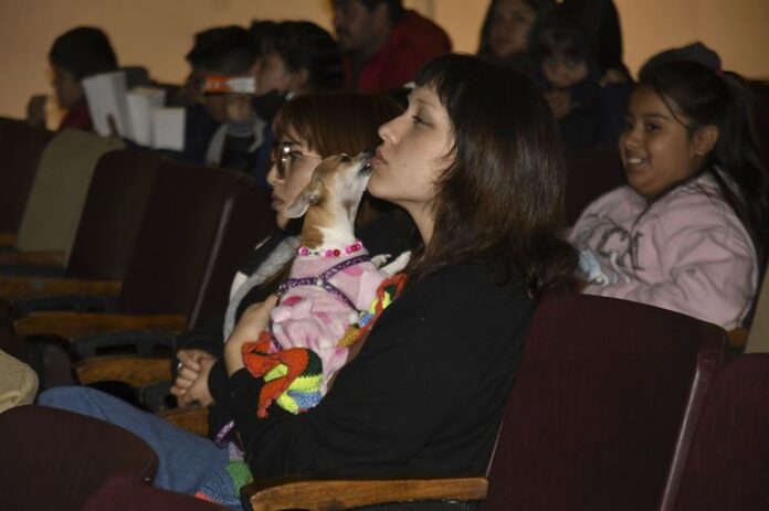 cine para perros