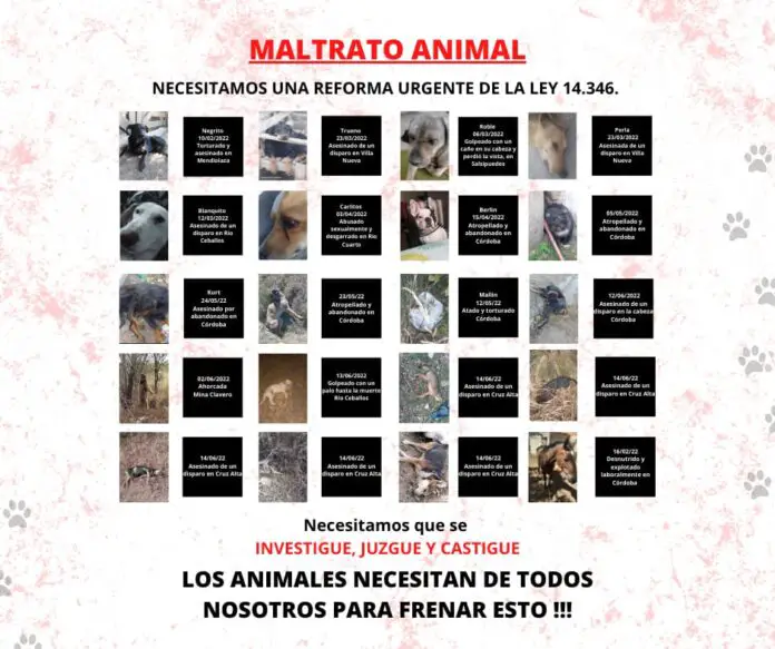 maltrato animal en córdoba 1