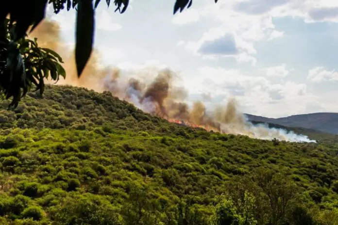 ACX4AX6BJBFJZFVFR47ISFJNJ4